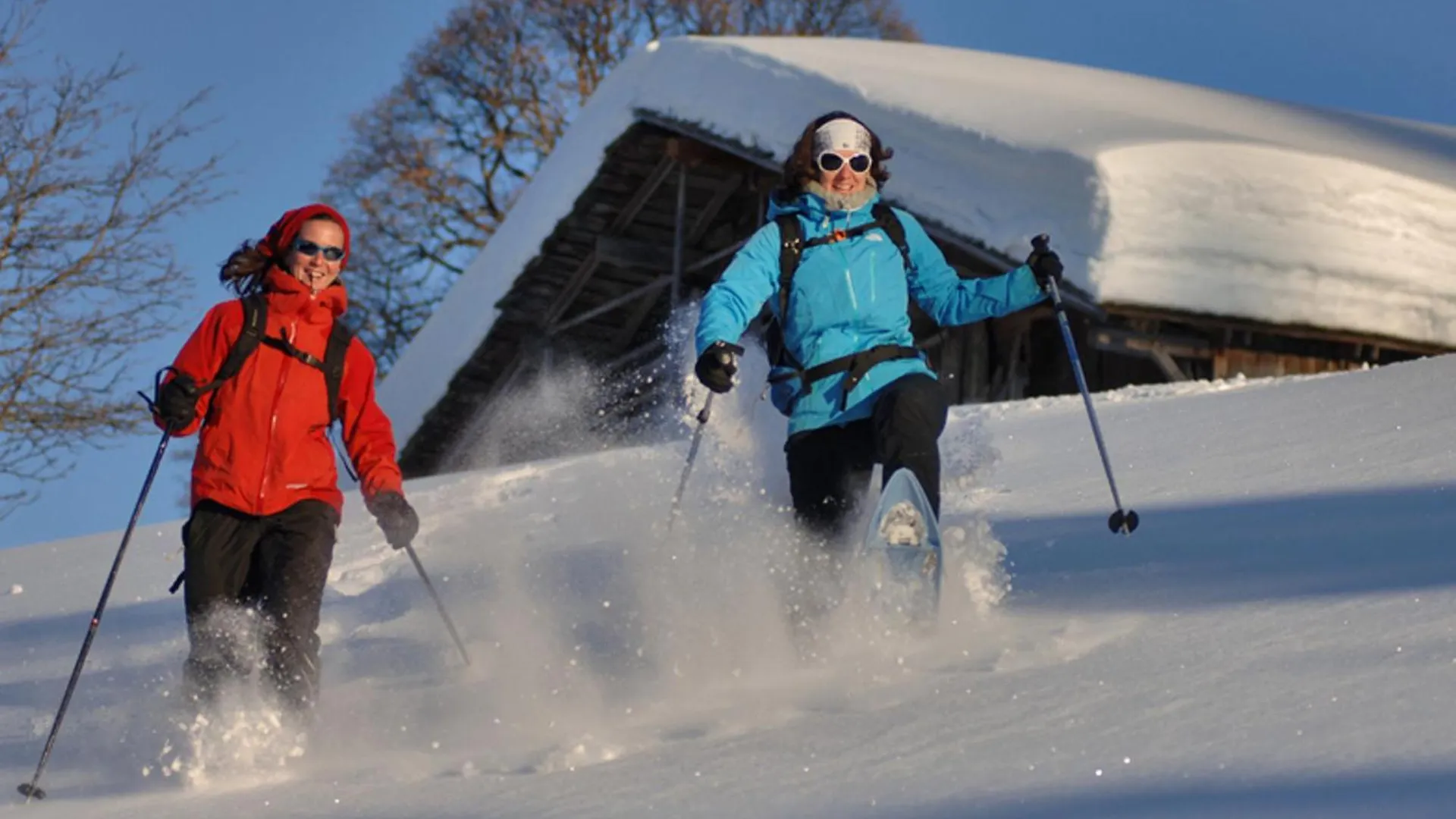 Chalet De Standing Avec Sauna Et Cheminee, 10 Pers - Fr-1-505-34 Notre-Dame-de-Bellecombe